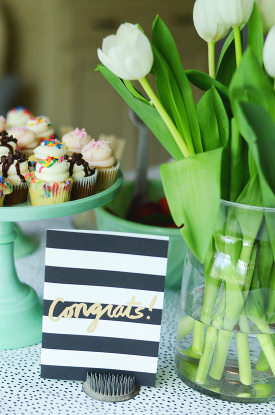 Graduation Party Tips | Shindig Paperie